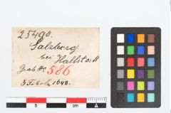 Etikett zu Bronzebrillenfibel (NHMW-PRAE-025490)